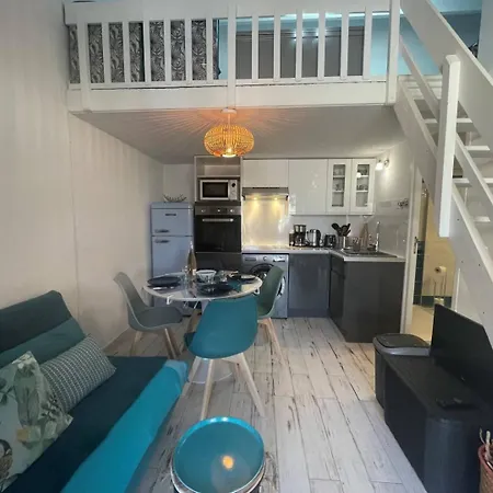 Maison 2 Pieces Mezzanine 4 Couchages St Cyprien Sc180-082